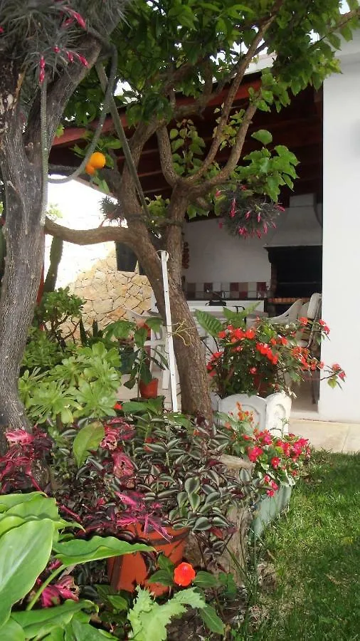 Lemon Tree Relaxing Guesthouse Lagos